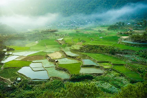 sagada-and-baguio-tour